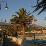 cogoleto